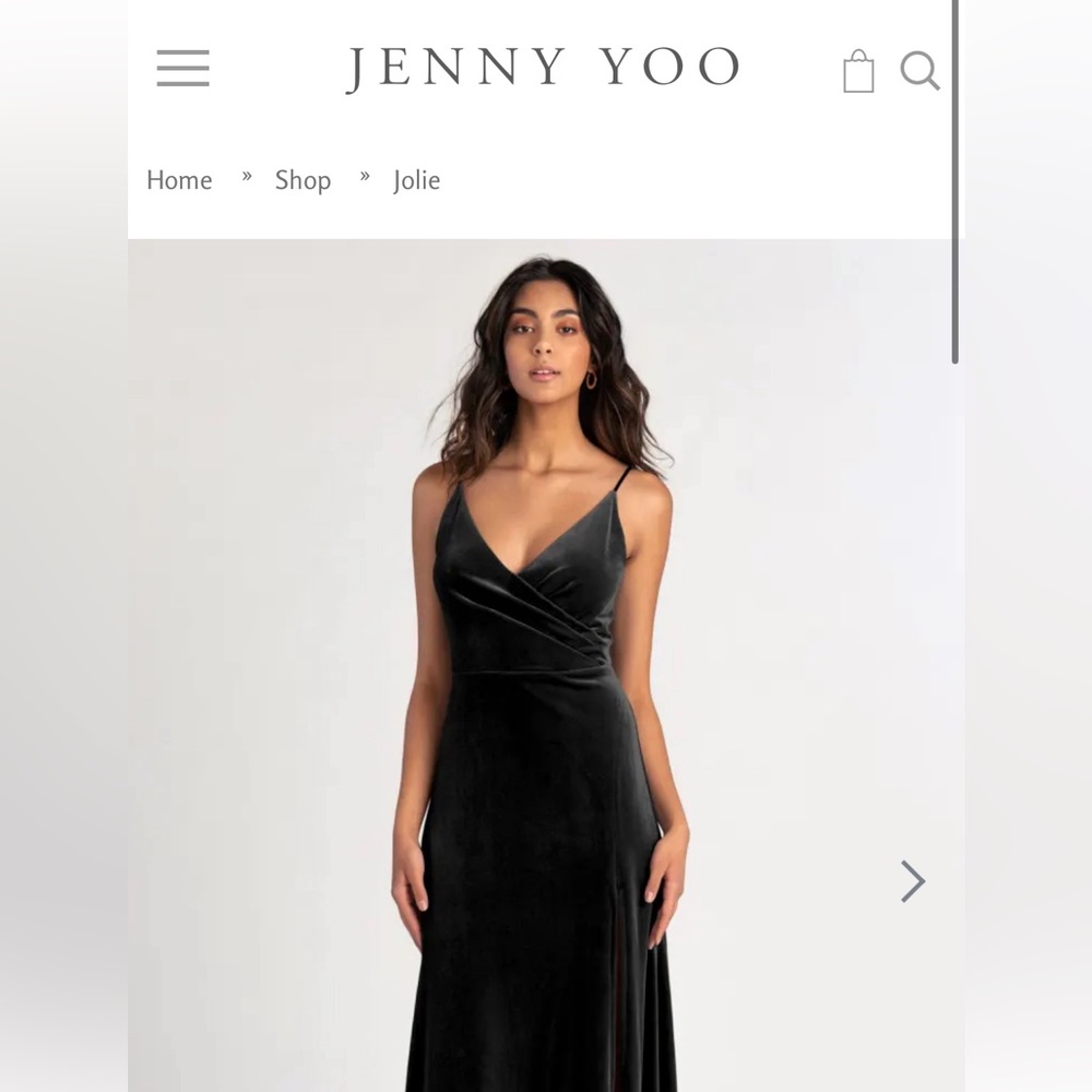 Jenny yoo joli dress. Velvet black size 10. Women’s dress